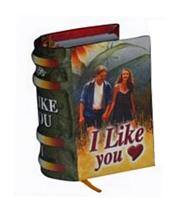 i-liked-you