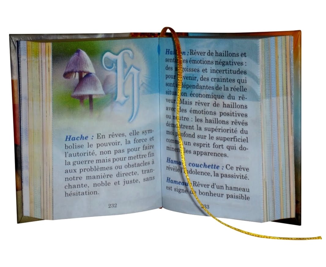 Dictionnaire-des-reves-1-miniature-book-libro