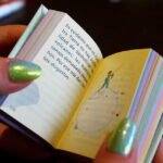 Principito Miniatura Book 5