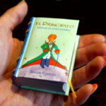 Principito Miniatura Book 6